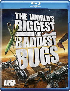 The World's Biggest and Baddest Bugs Blu-ray
